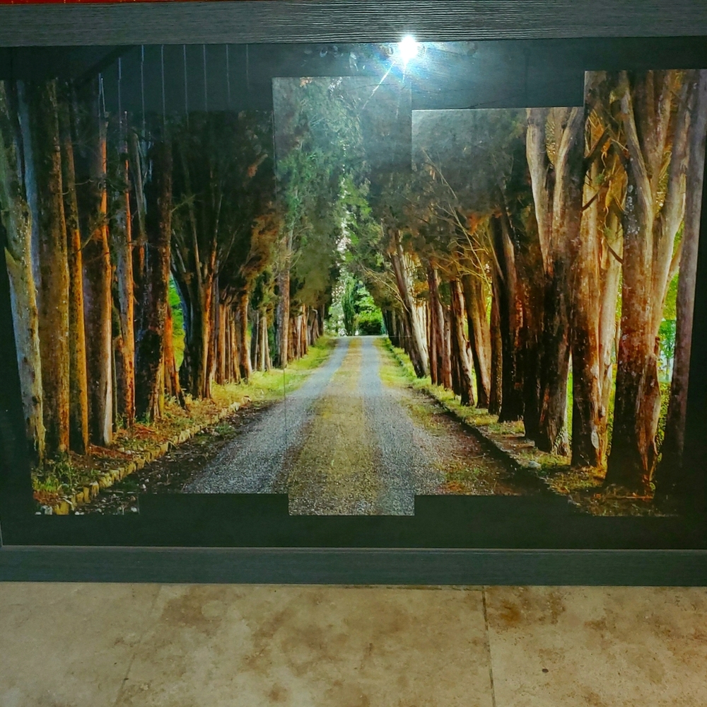 Picture